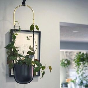 Umbra Bolo Wall or Hanging Planter